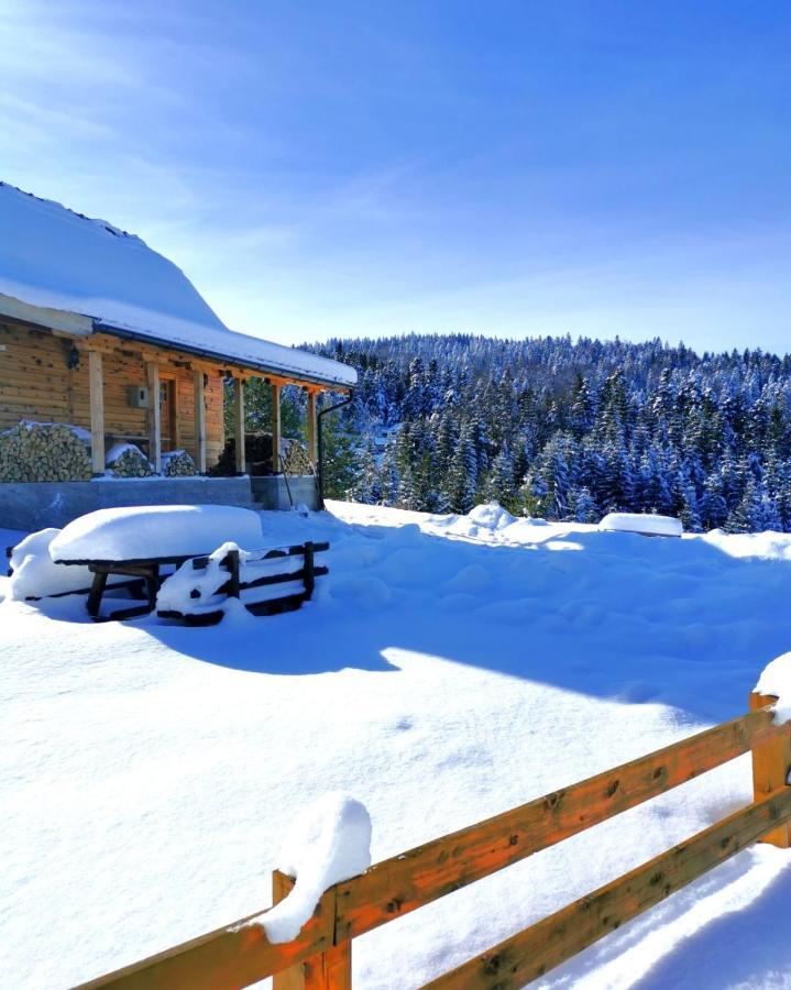 Brvnara Tara Villa Bajina Basta Exterior foto