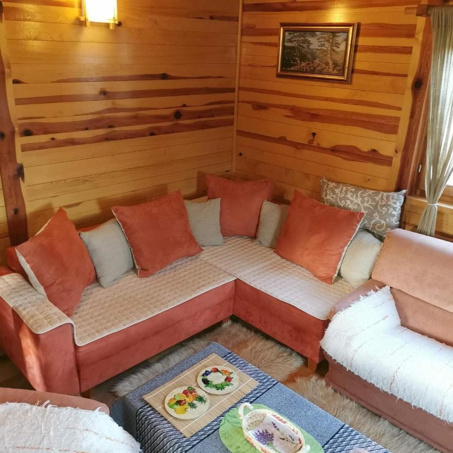 Brvnara Tara Villa Bajina Basta Exterior foto