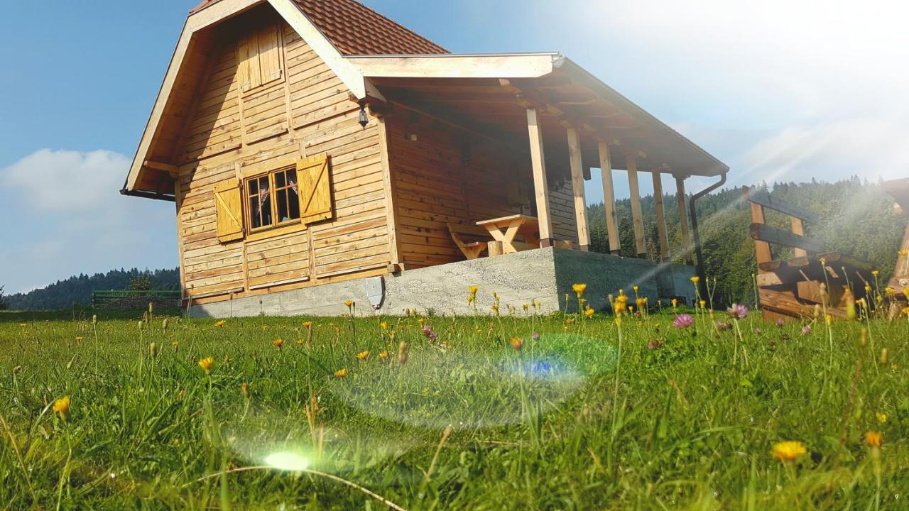 Brvnara Tara Villa Bajina Basta Exterior foto